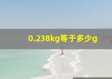 0.238kg等于多少g