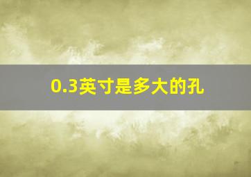 0.3英寸是多大的孔