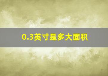 0.3英寸是多大面积