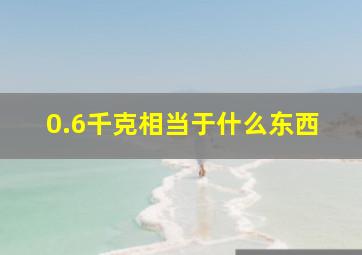 0.6千克相当于什么东西