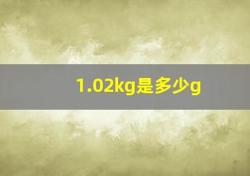 1.02kg是多少g