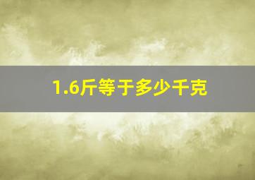 1.6斤等于多少千克