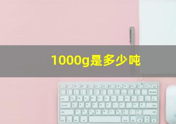 1000g是多少吨