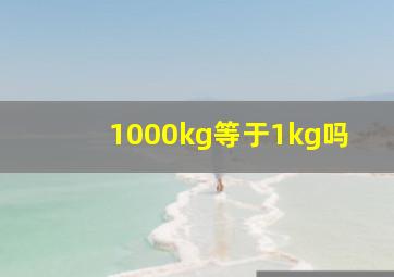 1000kg等于1kg吗