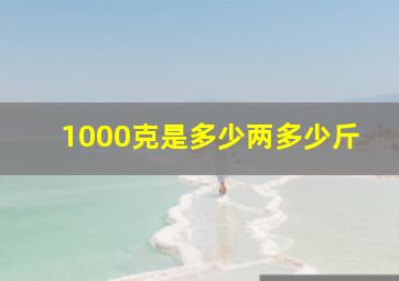 1000克是多少两多少斤