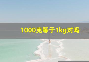 1000克等于1kg对吗