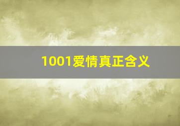 1001爱情真正含义