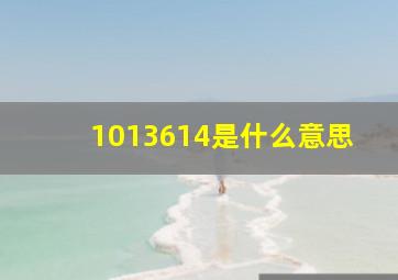 1013614是什么意思