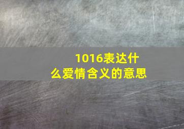 1016表达什么爱情含义的意思