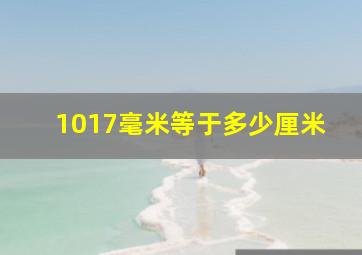 1017毫米等于多少厘米