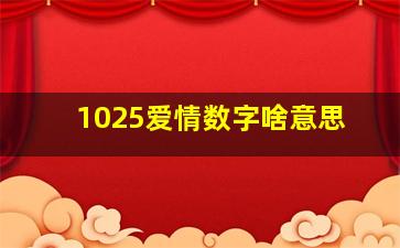 1025爱情数字啥意思