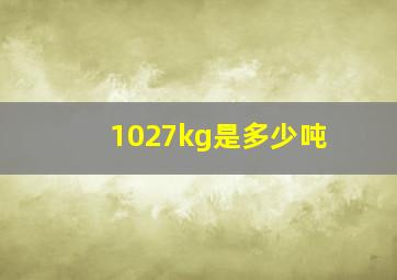 1027kg是多少吨