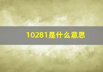 10281是什么意思