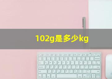 102g是多少kg