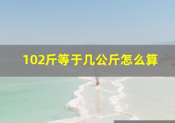 102斤等于几公斤怎么算