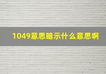 1049意思暗示什么意思啊