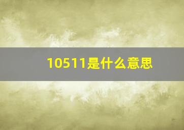 10511是什么意思