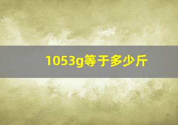 1053g等于多少斤