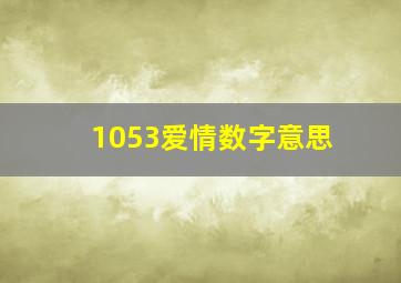 1053爱情数字意思