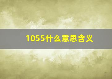 1055什么意思含义