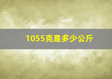 1055克是多少公斤