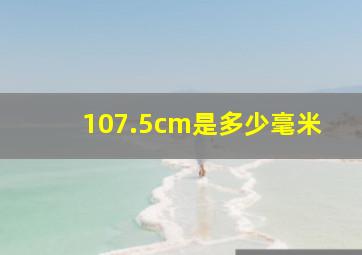 107.5cm是多少毫米