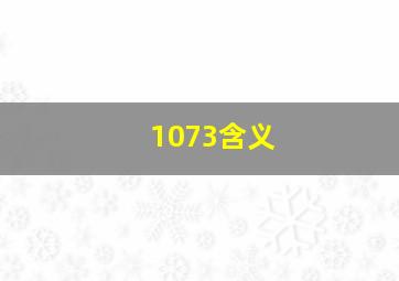 1073含义