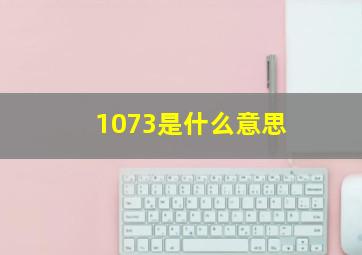 1073是什么意思