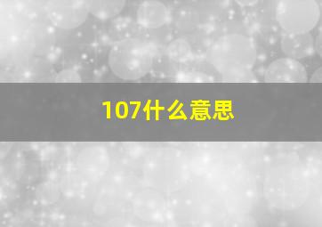 107什么意思