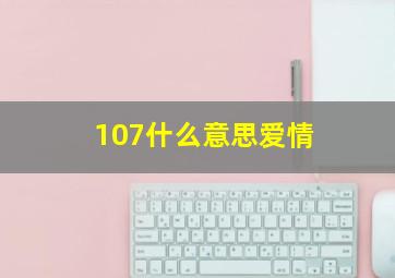 107什么意思爱情