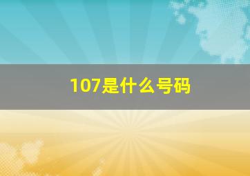 107是什么号码