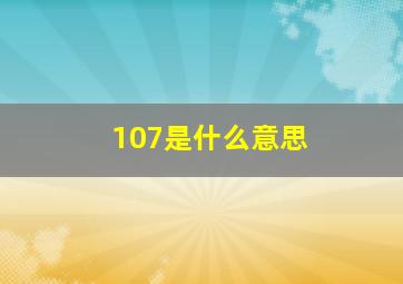 107是什么意思