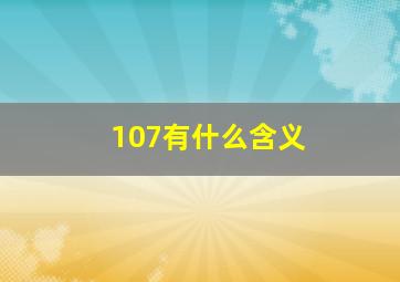 107有什么含义