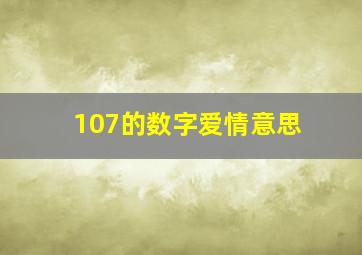 107的数字爱情意思