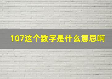 107这个数字是什么意思啊