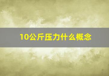 10公斤压力什么概念