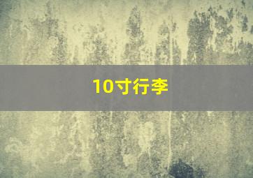 10寸行李