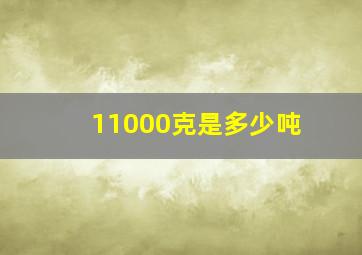 11000克是多少吨