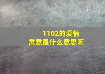 1102的爱情寓意是什么意思啊