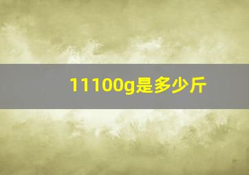 11100g是多少斤