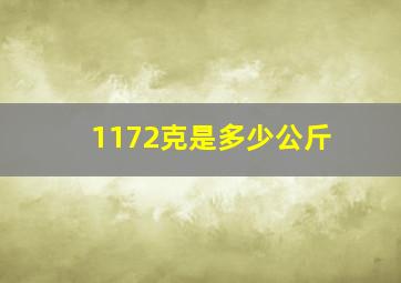 1172克是多少公斤