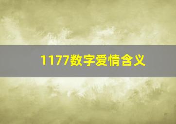 1177数字爱情含义