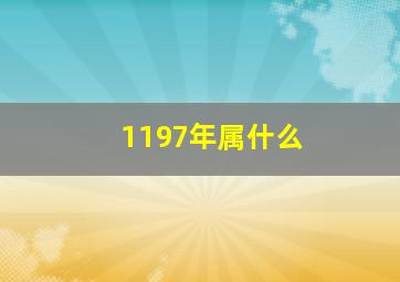 1197年属什么