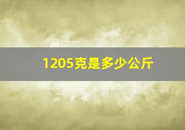 1205克是多少公斤