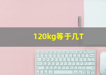 120kg等于几T