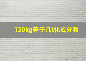 120kg等于几t化成分数