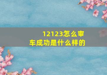 12123怎么审车成功是什么样的