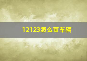 12123怎么审车辆