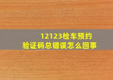 12123检车预约验证码总错误怎么回事