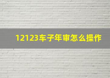 12123车子年审怎么操作